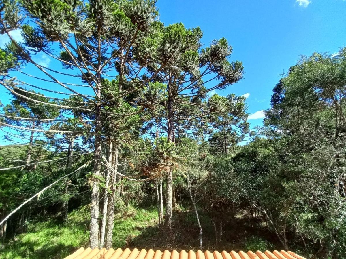 Cabana Na Floresta Rincao Do Fortaleza Камбара Экстерьер фото